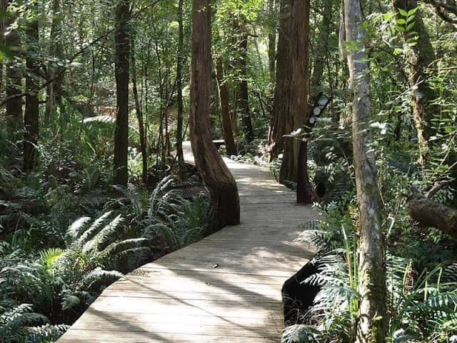 Wellness Woods - Image 1