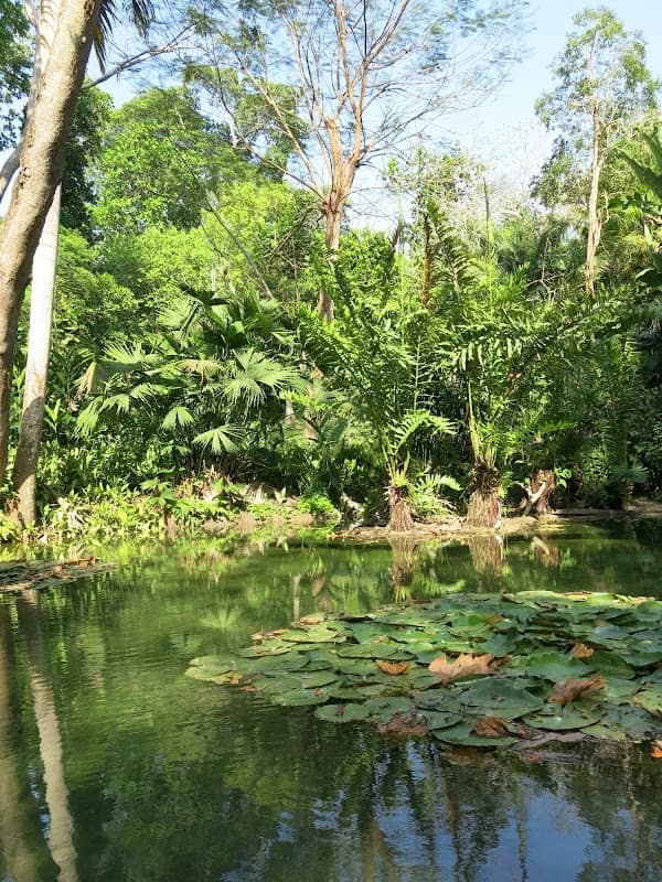 Cartagena Botanical Garden Guillermo Piñeres - Image 1
