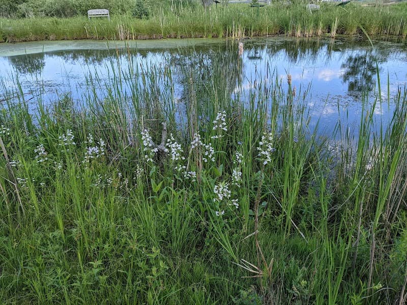 Marshfield Outdoor Learning Sanctuary - Image 1