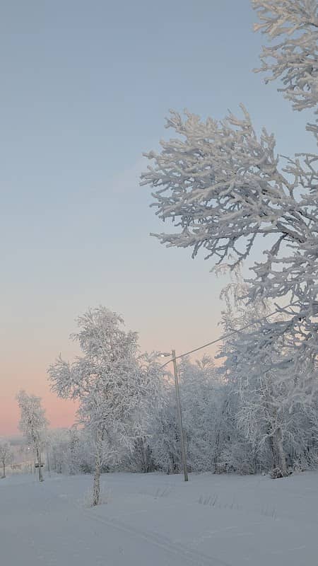 Cross country ski tracks - Image 1