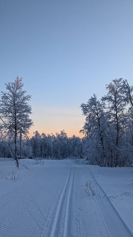 Cross country ski tracks - Image 2