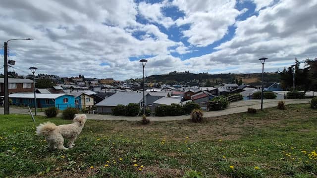 Mirador - Image 1