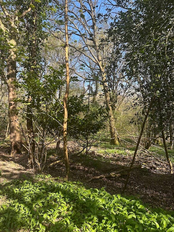 Eden Vale "public footpath" - Image 1