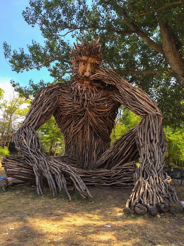 Adam and eve's tree - Image 1