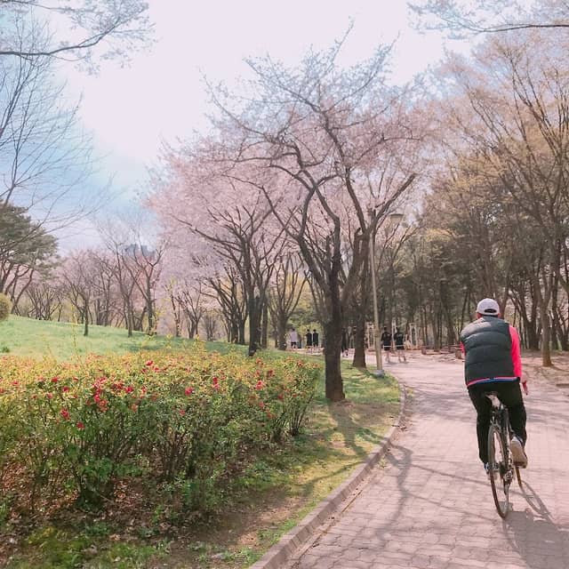 민속공원 - Image 1