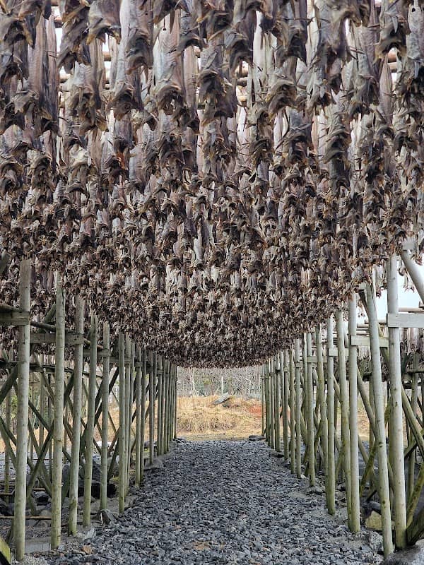 Fish Drying Racks - Image 1