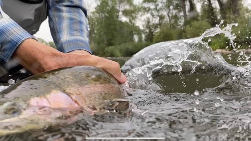 Freestone Anglers - Image 2