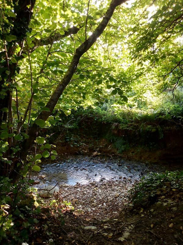 Newnham Meadows Local Nature Reserve - Image 2