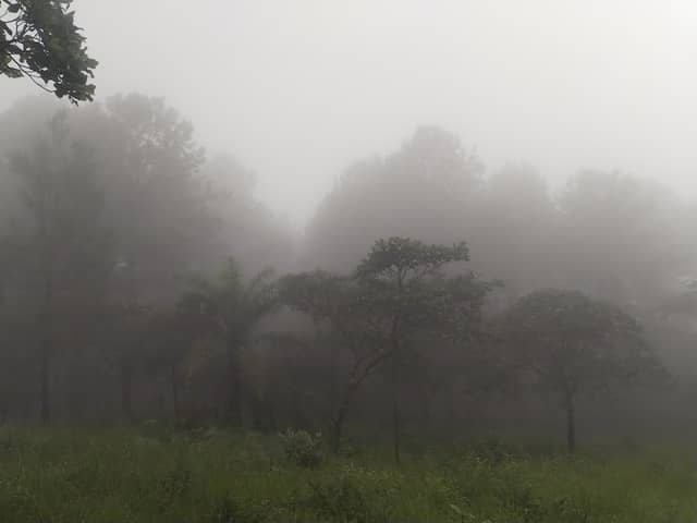 Finca Toñita - Image 2