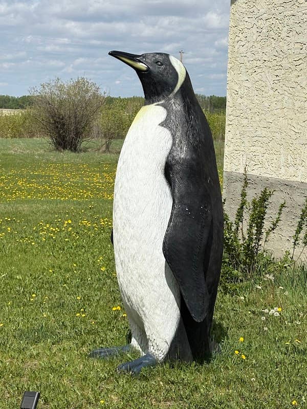 piponayis (winter bird) - Image 1