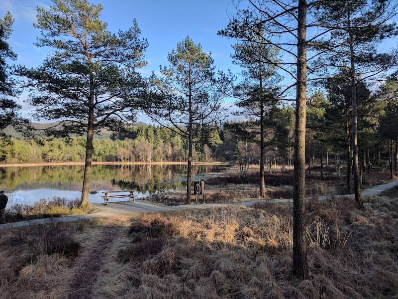 Rogaland Arboret - Image 1