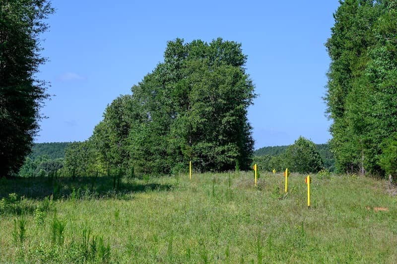 Broad River Wildlife Management Area - Image 1