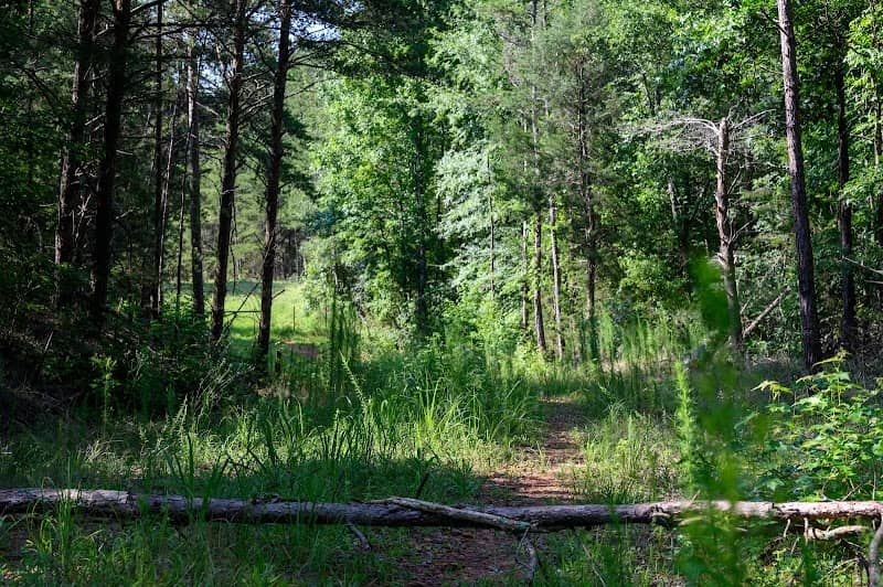 Broad River Wildlife Management Area - Image 2