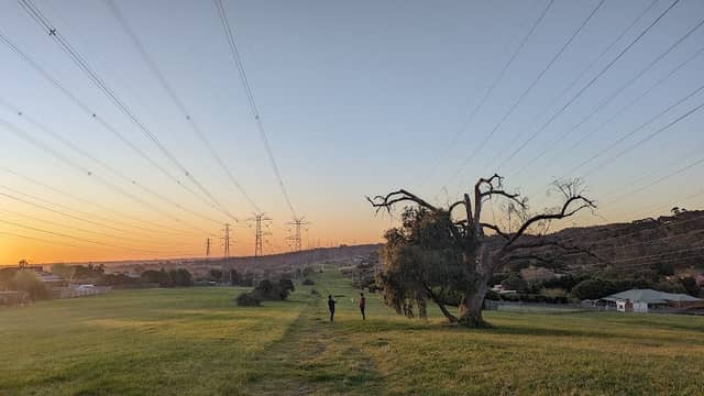 Joan Phillips Reserve - Image 1