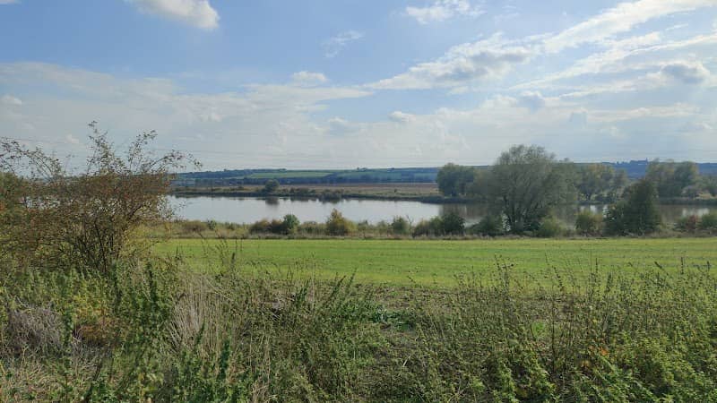 Nemilkovský rybník - Image 1