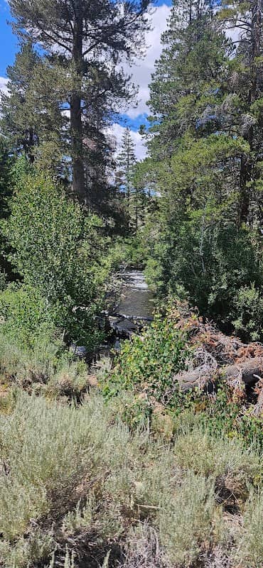 Slinkard/Little Antelope Wildlife Area (Central) - Image 2