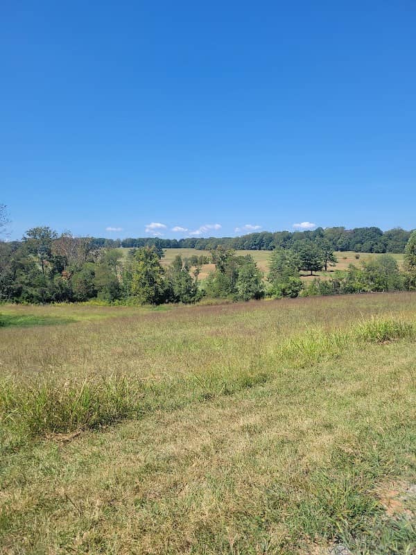 Poplar Forest Walking Path Parking - Image 1