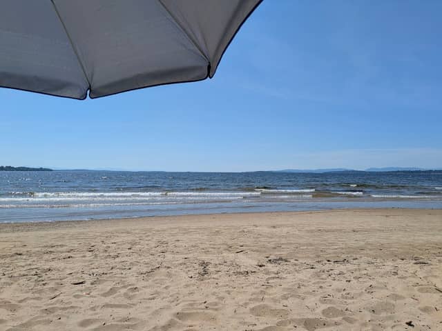 Plattsburgh City Beach Dog Park - Image 1