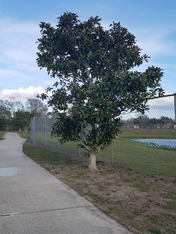 Brewer park - Image 2