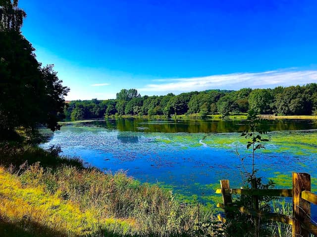 Hardwick Park (Ponds) - Image 1