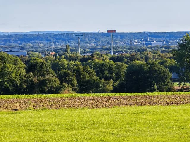 Lohwald - Image 3