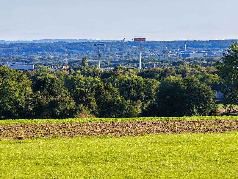 Lohwald - Image 3