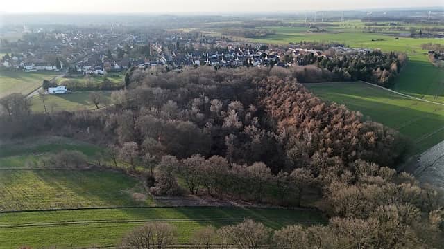 Lohwald - Image 1