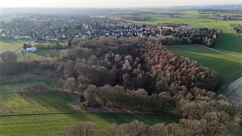 Lohwald - Image 1
