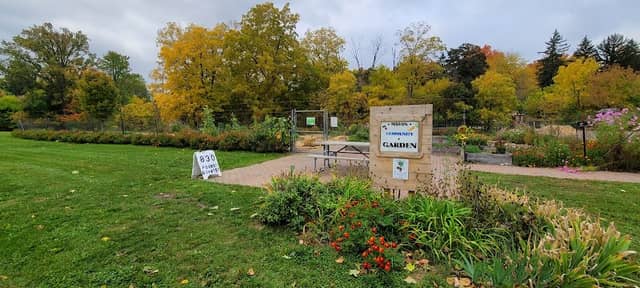 Mason Community Garden - Image 1