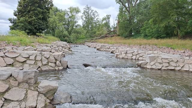 Fischtreppe Alte Saale - Image 1