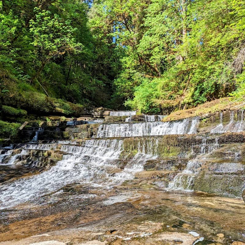 Devil's Staircase Wilderness - Image 3