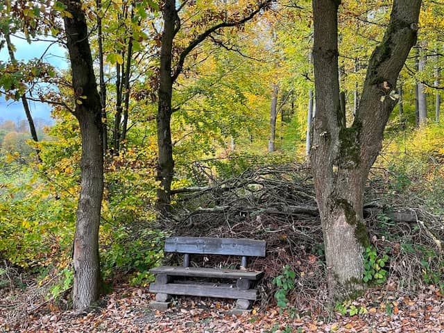 Aussichtsbank am Salzenberg - Image 1