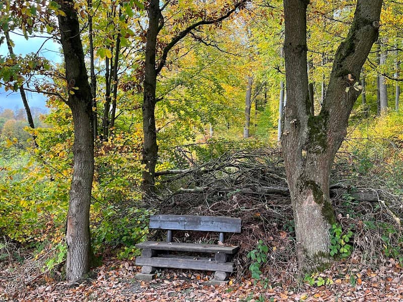 Aussichtsbank am Salzenberg - Image 1