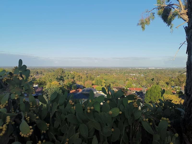 Henrietta Reserve - Image 2