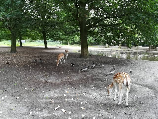 Herman Jansen Park - Image 1