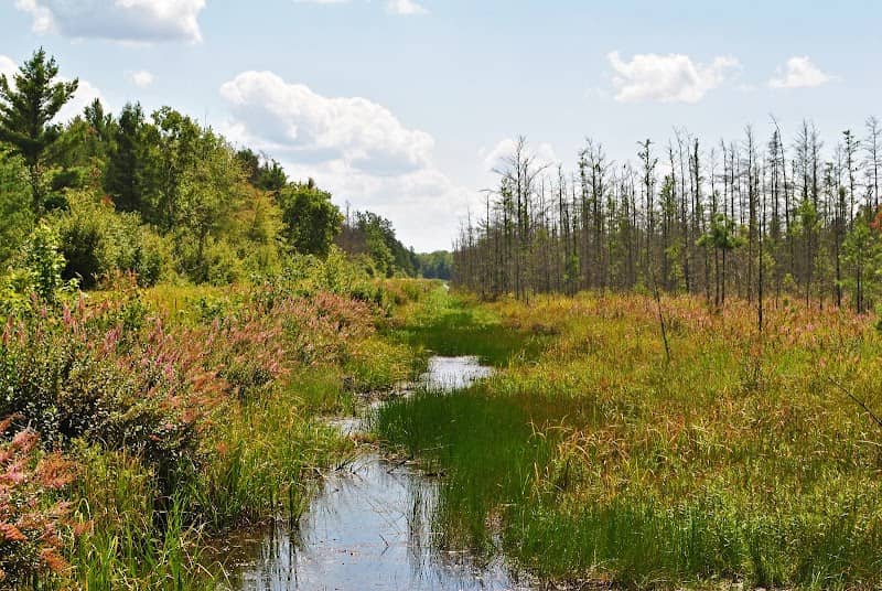 Bear Bluff State Natural Area - Image 2