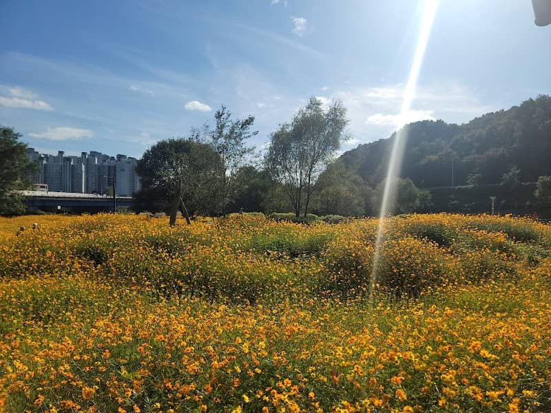 부평생태습지공원 - Image 1