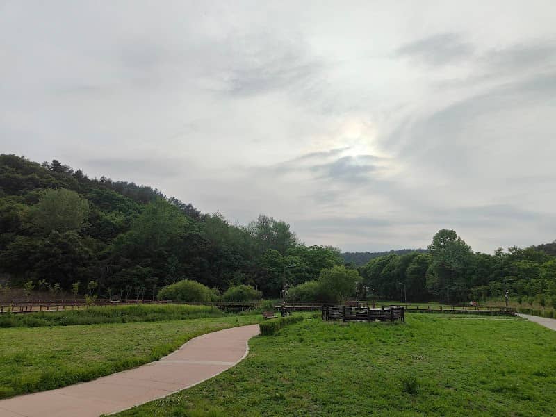 부평생태습지공원 - Image 2