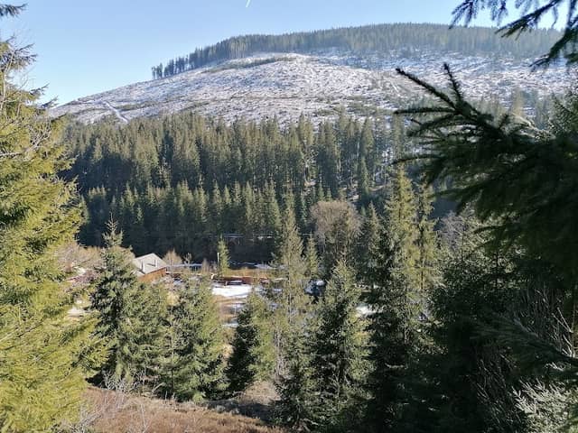 Poiana Horea, Ciurtuci - Image 1