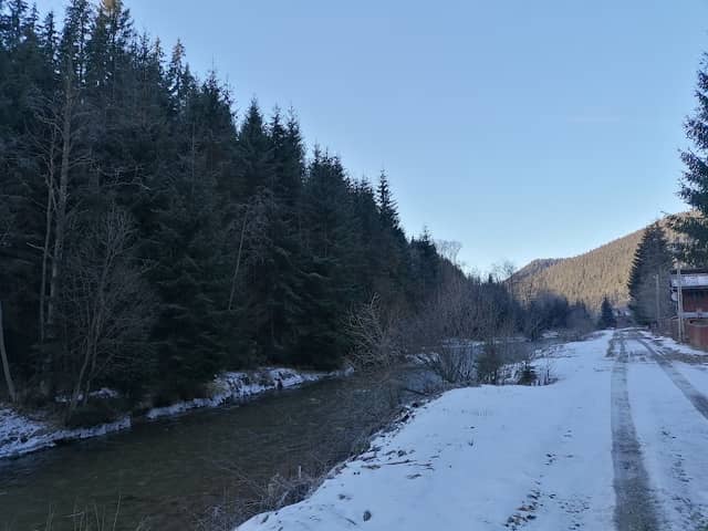 Poiana Horea, Ciurtuci - Image 2