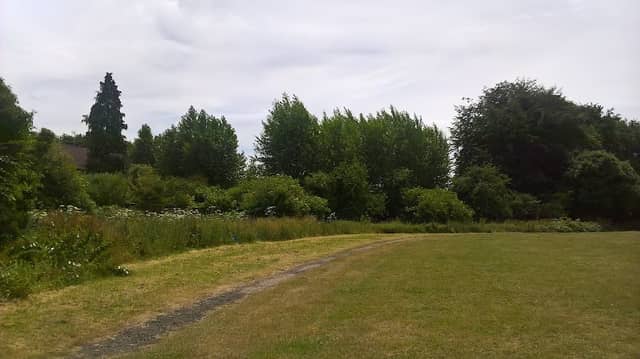 Mayne Space Nature Trail - Image 2