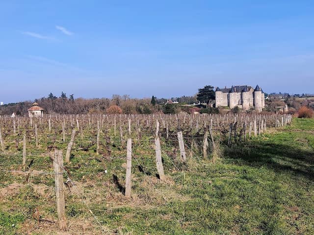 Luynes - Image 1