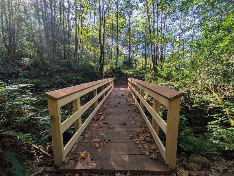 Sandy River Trail - Image 2