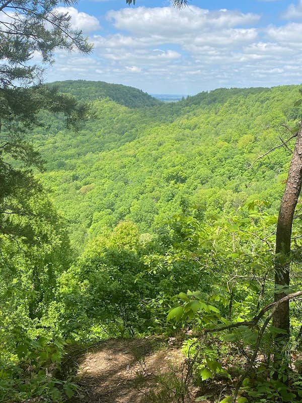 Indian Fort Mountain Hiking Trail Parking - Image 2