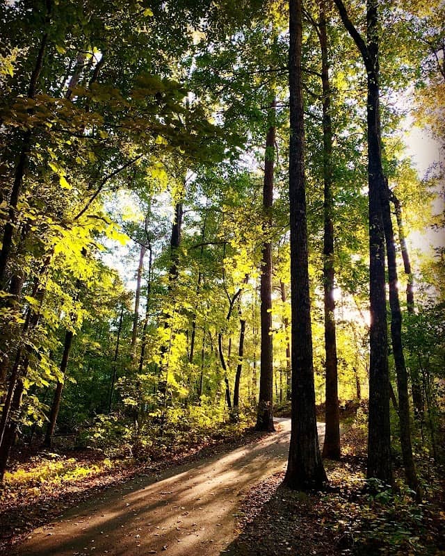 Suwanee Creek Park - Image 2