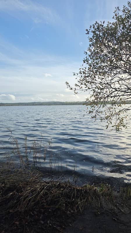 Duck lake RJ - Image 1