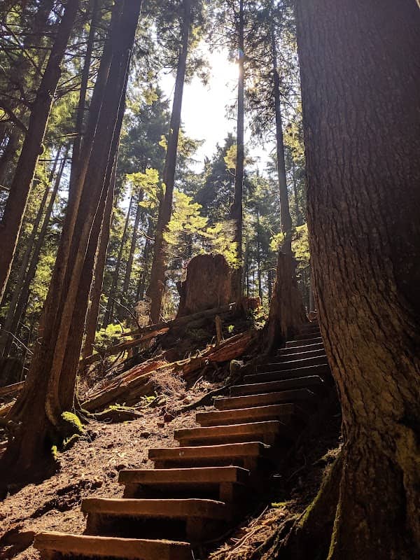 Mountain View Park - Image 1