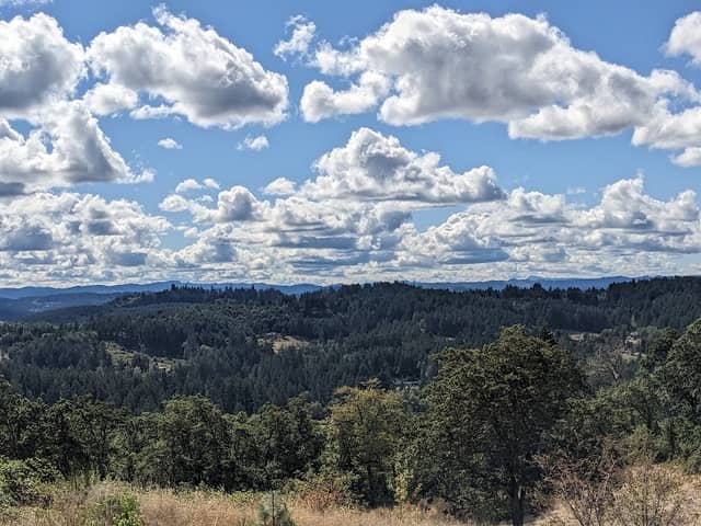 Wild Iris Ridge Park - Image 2