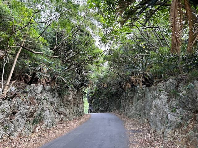 戻る道 - Image 1