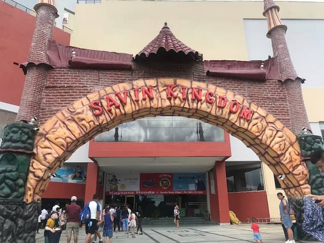 Savin Kingdom - Image 1